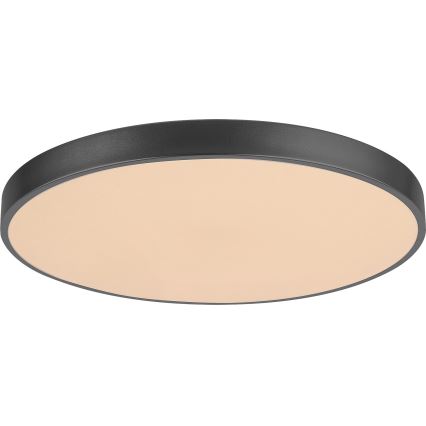 Rabalux - Plafonnier à intensité variable LED LED/60W/230V 60 cm + télécommande