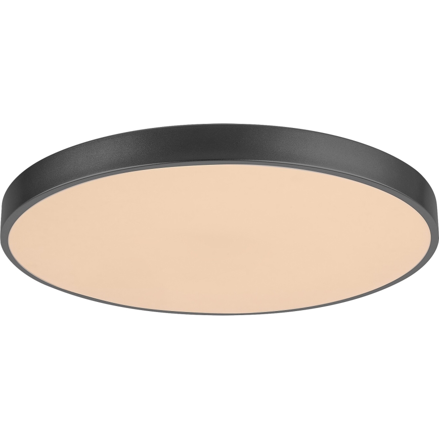 Rabalux - Plafonnier à intensité variable LED LED/60W/230V 60 cm + télécommande