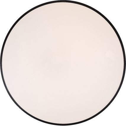 Rabalux - Plafonnier à intensité variable LED LED/60W/230V 60 cm + télécommande