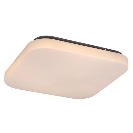 Rabalux - Plafonnier LED LED/20W/230V