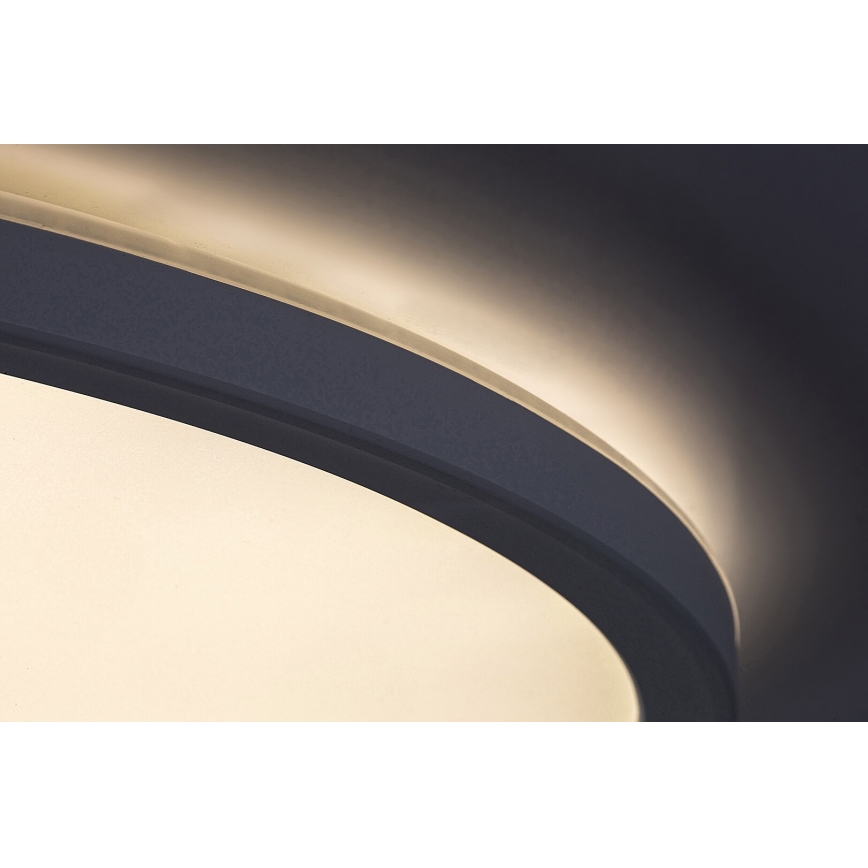 Rabalux - LED dimbare plafondlamp LED/22W/230V Ø 42 cm