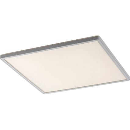 Rabalux - Dimbare LED-plafondlamp LED/22W/230V 42x42 cm