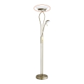 Rabalux 4078 - Vervangingsglas voor vloerlamp GAMMA R7s groot