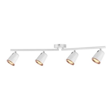 Rabalux 5048 - LED Spot SOLANGE 4xLED/6W/230V