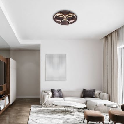 Rabalux - Dimbare LED-plafondlamp CAPRIANA LED/18W/230V Ø 38 cm