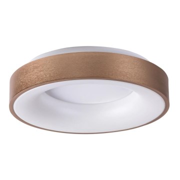 Rabalux 5052 - Plafonnier LED CARMELA LED/30W/230V