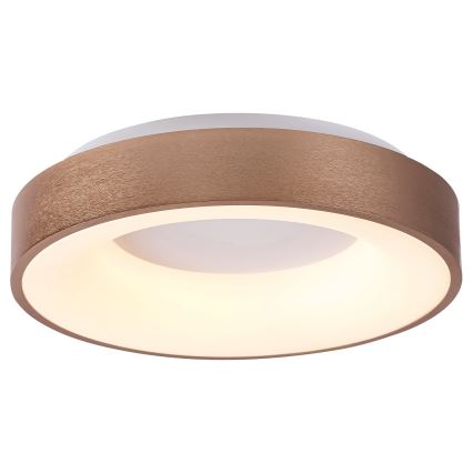 Rabalux 5052 - Plafonnier LED CARMELA LED/30W/230V