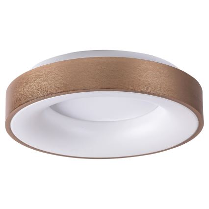 Rabalux 5052 - Plafonnier LED CARMELA LED/30W/230V