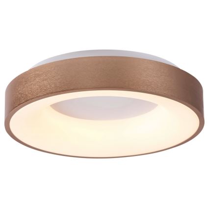 Rabalux 5053 - LED Plafondverlichting CARMELA LED/50W/230V