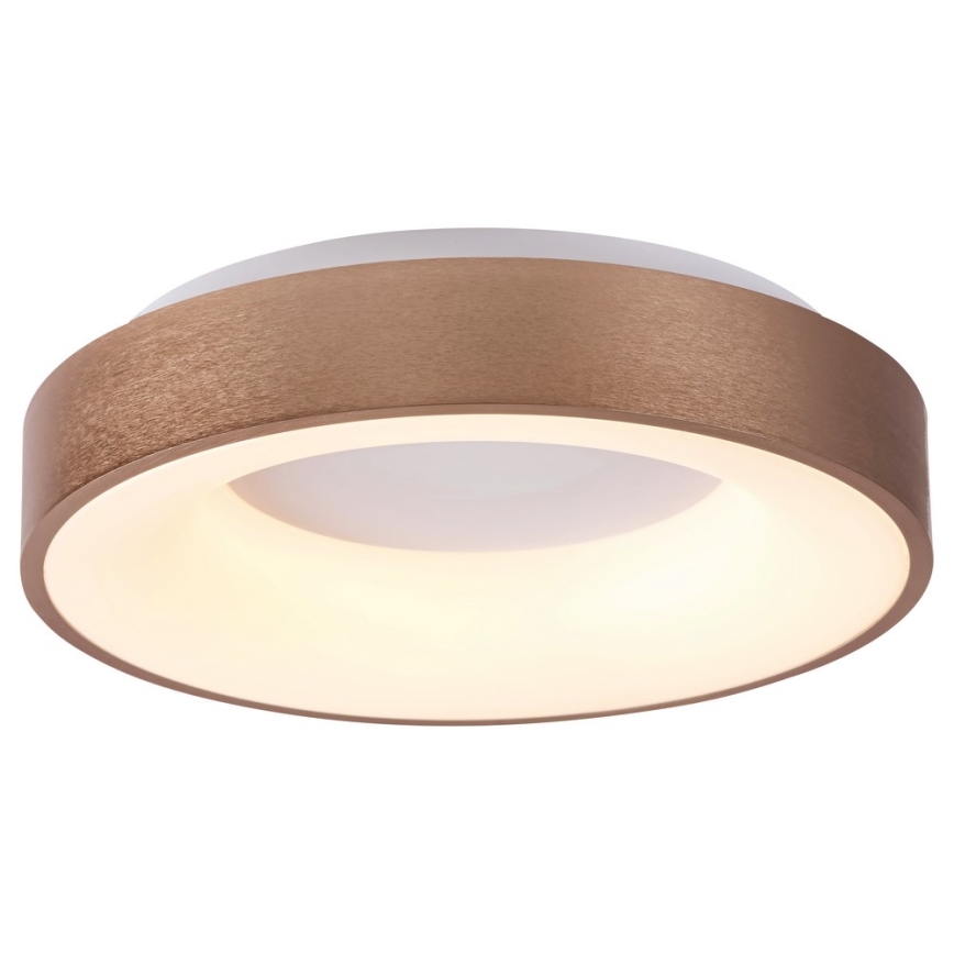 Rabalux 5053 - LED Plafondverlichting CARMELA LED/50W/230V