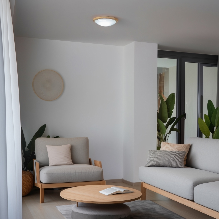 Rabalux - Plafondlamp 1xE27/60W/230V diameter 30 cm