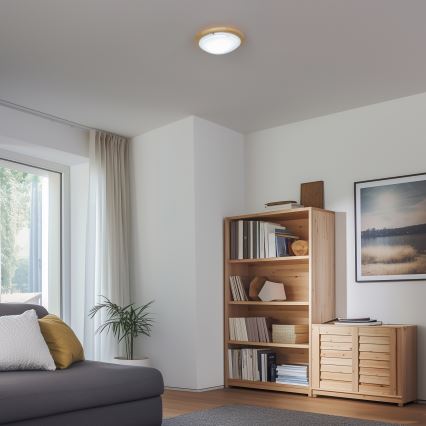 Rabalux - Plafondlamp 1xE27/60W/230V diameter 30 cm