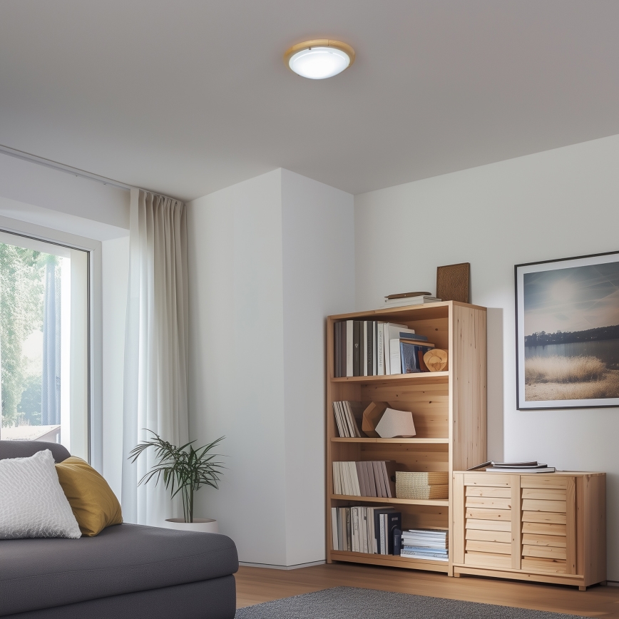 Rabalux - Plafondlamp 1xE27/60W/230V diameter 30 cm