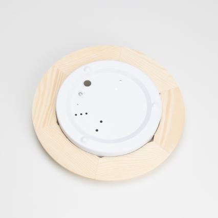 Rabalux - Plafondlamp 1xE27/60W/230V diameter 30 cm