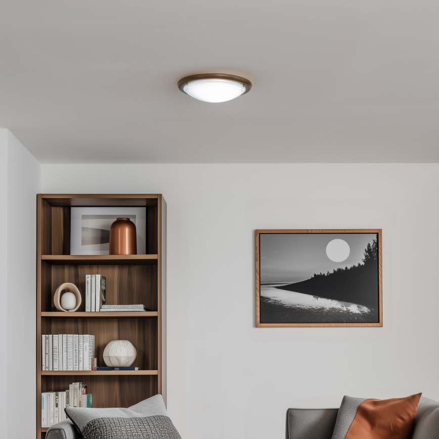 Rabalux - Plafondlamp 1xE27/60W/230V diameter 30 cm