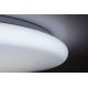 Rabalux 5450 - LED Plafondverlichting dimbaar DANNY LED/60W/230V