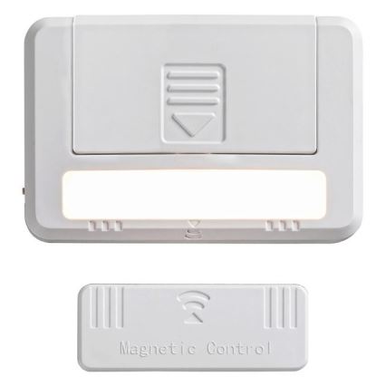Rabalux 5675 - SET 2xLED Kastverlichting MAGNUS LED/0,5W/3V