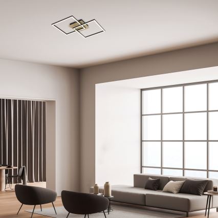 Rabalux - LED plafondlamp LED/24W/230V