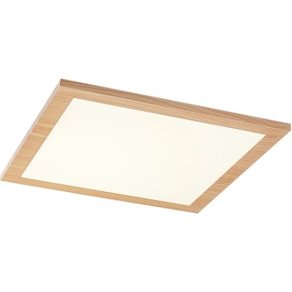 Rabalux - LED Surface-mounted panel LED/12W/230V 4000K