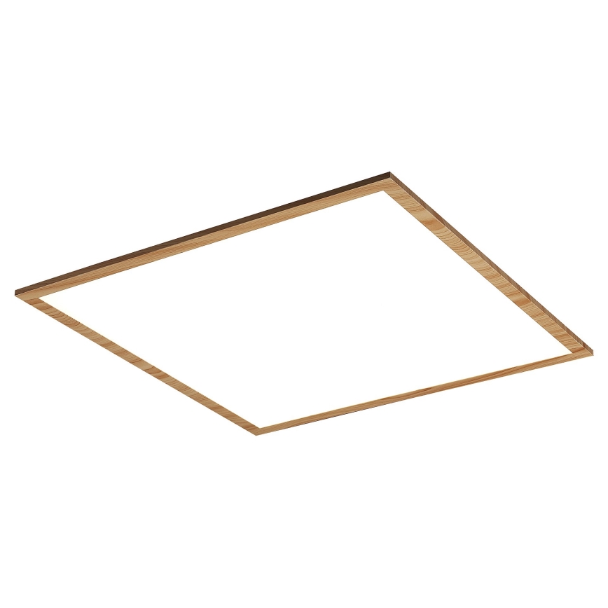Rabalux - LED Bevestigd Paneel LED/40W/230V 4000K