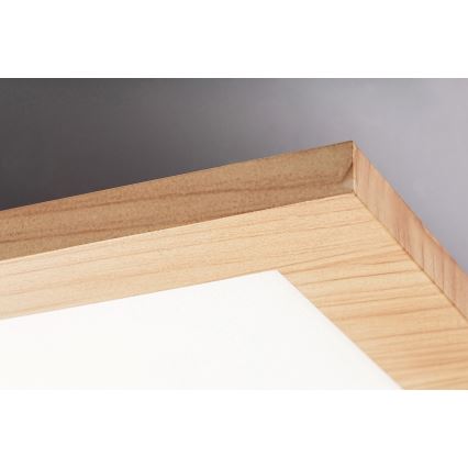 Rabalux - LED Bevestigd Paneel LED/40W/230V 4000K