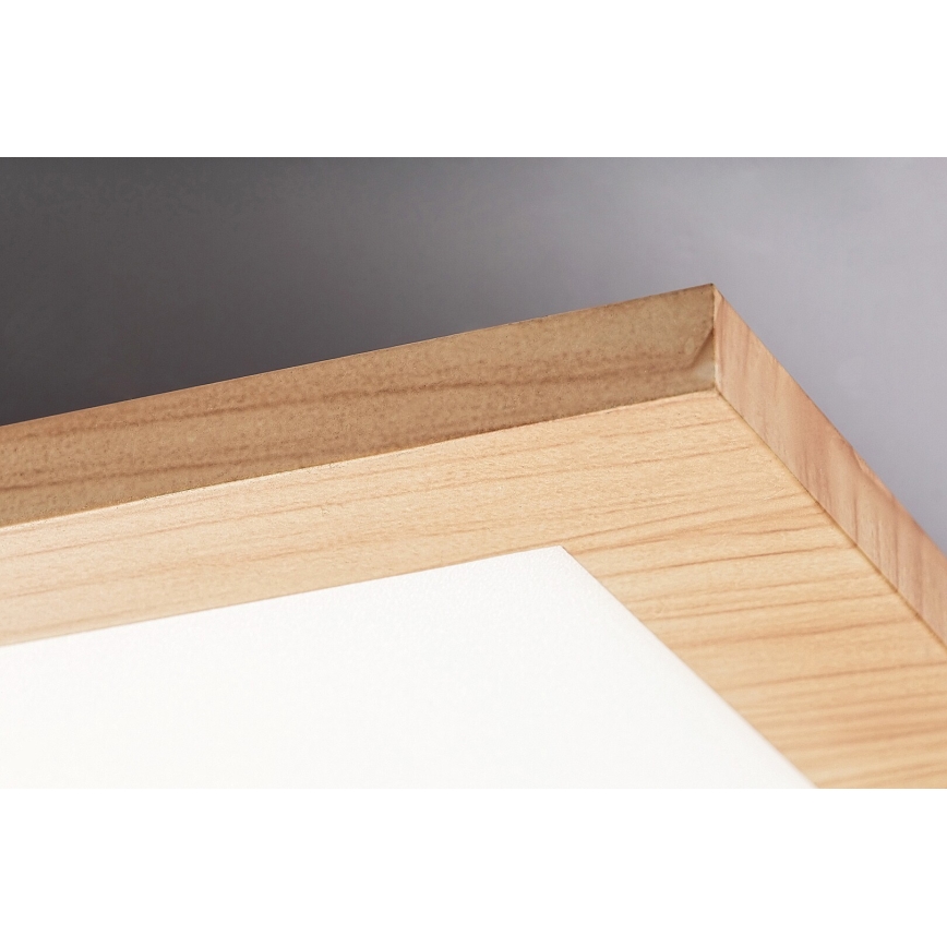 Rabalux - LED Bevestigd Paneel LED/40W/230V 4000K