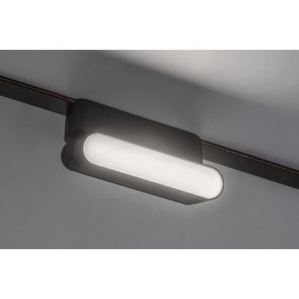 Rabalux - Plafonnier pour système de rail monophasé LED/6W/230V 4000K 11,5 cm noir