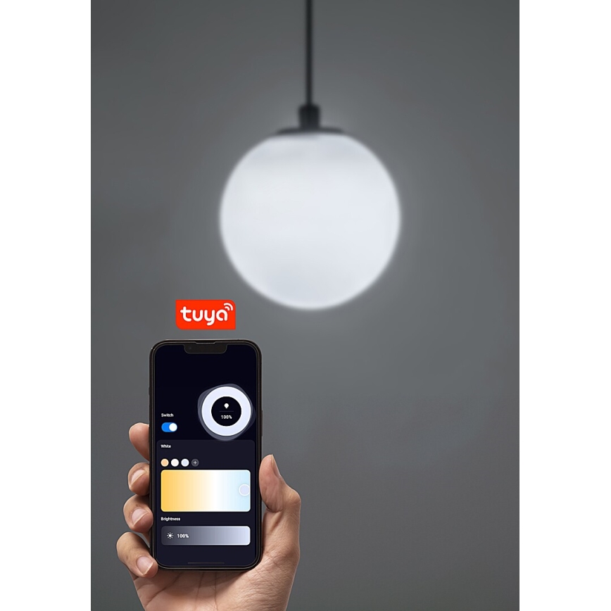 Rabalux - Dimbare LED hanglamp aan een koord voor 1-fase railsysteem LED/5W/24V 2700-5500K Wi-Fi Tuya zwart