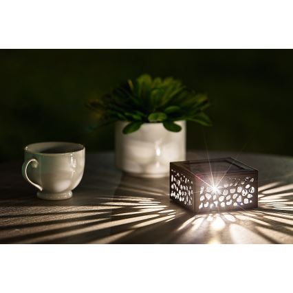 Rabalux - Éclairage solaire LED/0,5W/1,2V IP44 600 mAh