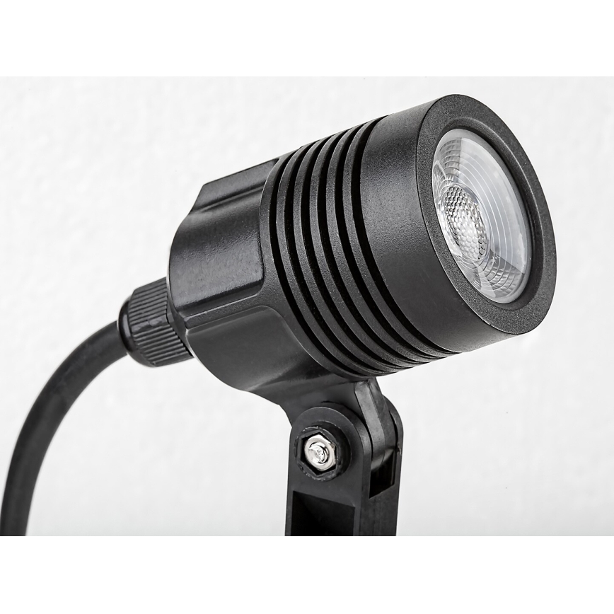 Rabalux - Lampe d'extérieur LED/3W/230V IP65