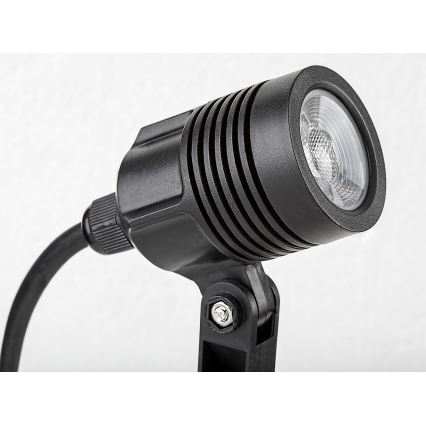 Rabalux - LED Buitenlamp LED/3W/230V IP65