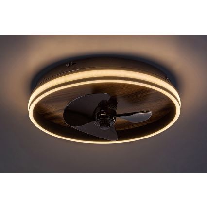Rabalux - Plafonnier à intensité variable avec ventilateur LED/30W/230V 3000-6500K + télécommande