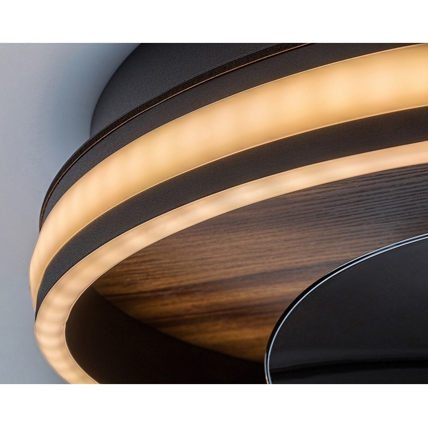 Rabalux - Plafonnier à intensité variable avec ventilateur LED/30W/230V 3000-6500K + télécommande