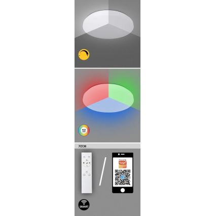 Rabalux - LED RGB Dimbare plafondlamp LED/24W/230V Wi-Fi Tuya 3000-6500K 31 cm