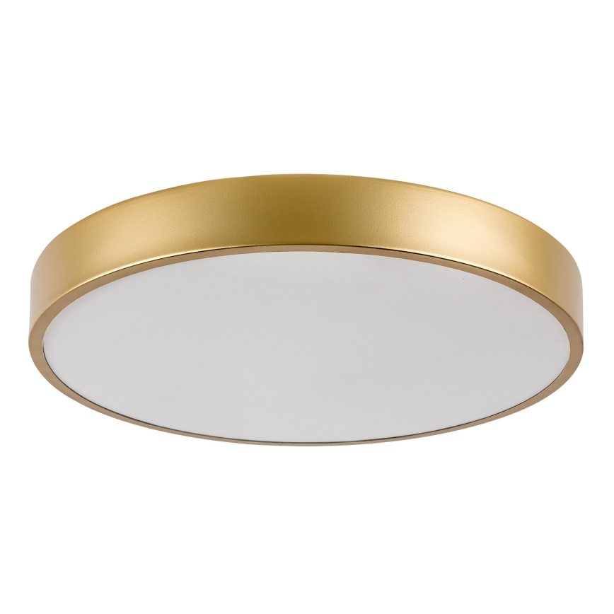 Rabalux - LED plafondlamp LED/36W/230V 3000K