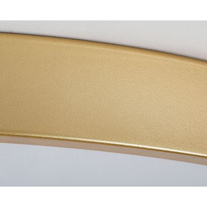 Rabalux - LED dimbare plafondlamp LED/60W/230V 3000-6000K + afstandsbediening
