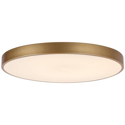 Rabalux - LED dimbare plafondlamp LED/60W/230V 3000-6000K + afstandsbediening