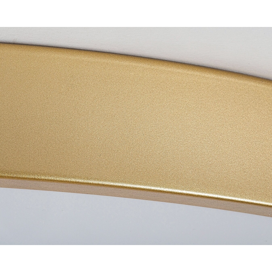 Rabalux - Plafonnier à intensité variable LED/60W/230V 3000-6000K + télécommande