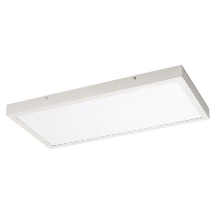 Rabalux - LED Bevestigd lichtpaneel LED/24W/230V 4000K 60x30 cm