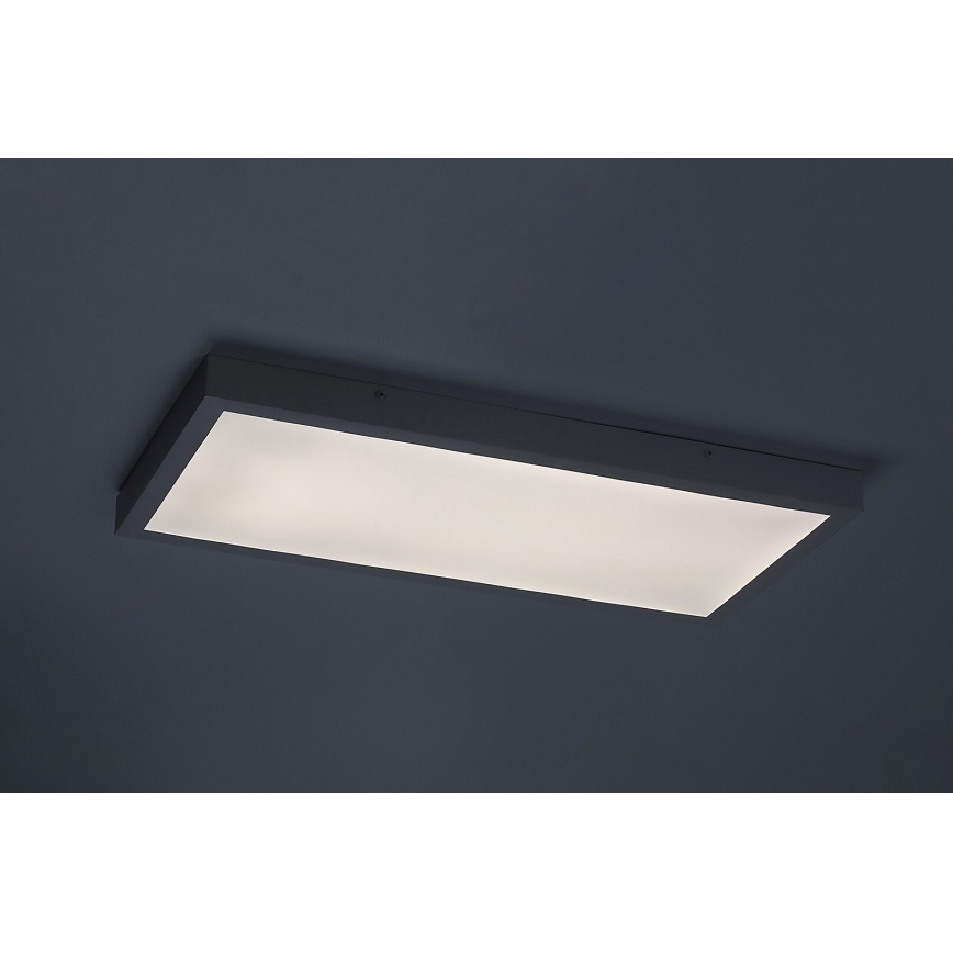 Rabalux - Panneau en saillie LED/24W/230V 4000K 60x30 cm