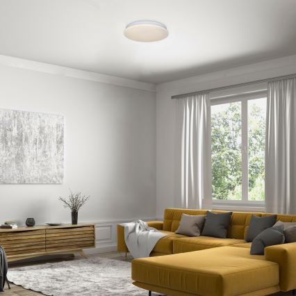 Rabalux - LED Plafondlamp LED/12W/230V 3000K 25 cm