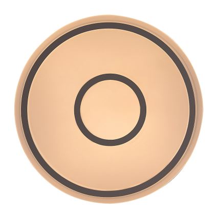 Rabalux - Plafonnier LED/25W/230V 3000K