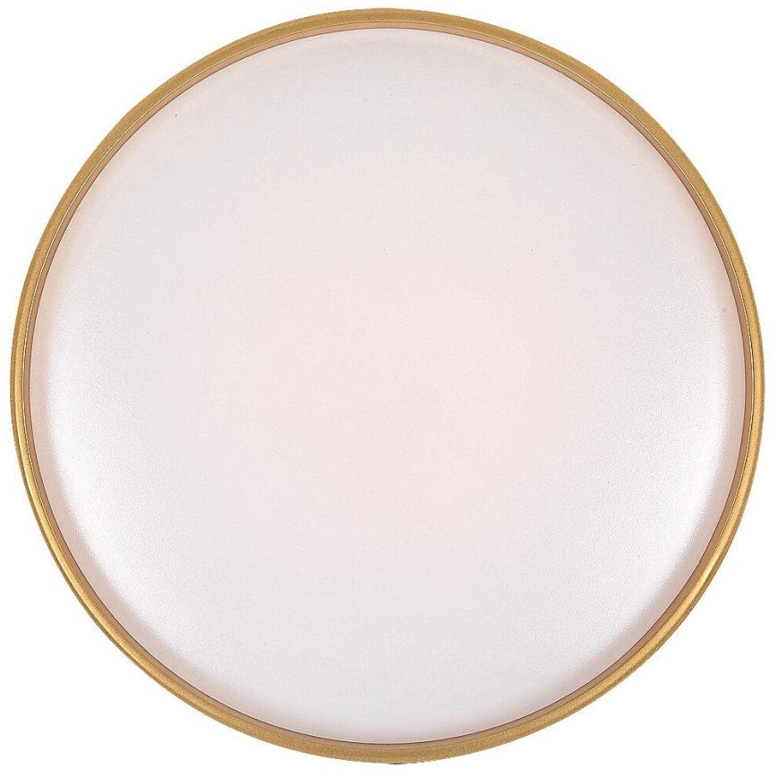 Rabalux - Plafonnier à intensité variable LED LED/24W/230V 3000-6500K + télécommande