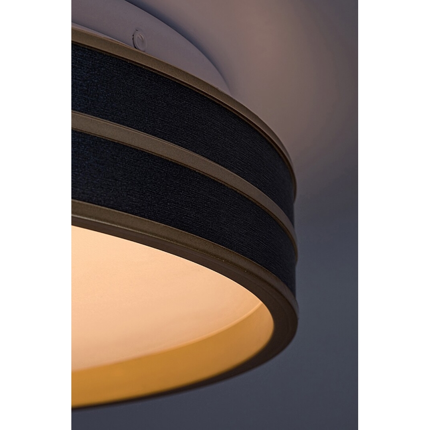 Rabalux - Plafonnier à intensité variable LED LED/24W/230V 3000-6500K + télécommande