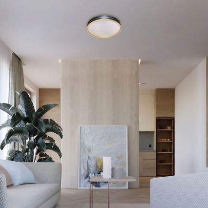 Rabalux - Plafonnier LED dimmable LED/24W/230V 3000-6500K Ø 39 cm + télécommande