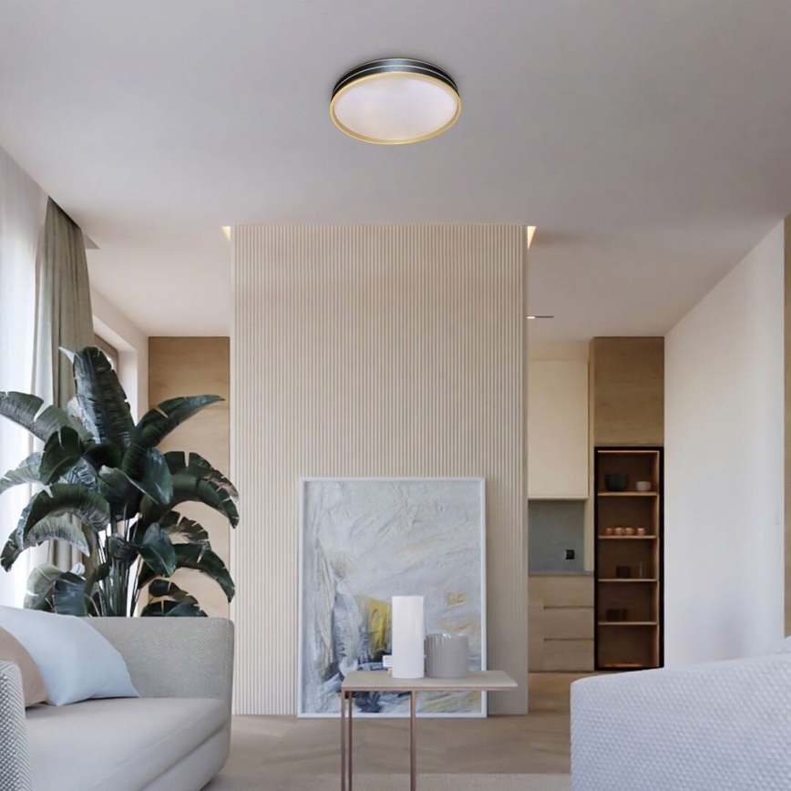 Rabalux - Plafonnier LED dimmable LED/24W/230V 3000-6500K Ø 39 cm + télécommande