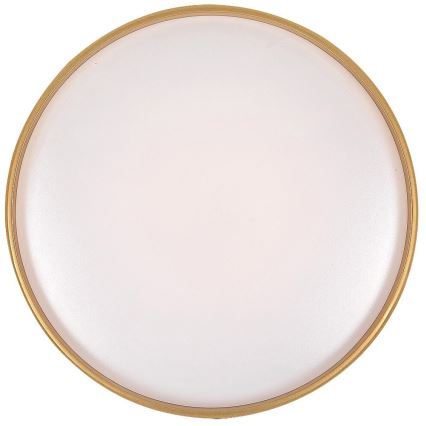 Rabalux - Plafonnier LED dimmable LED/24W/230V 3000-6500K Ø 39 cm + télécommande