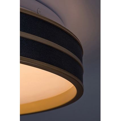 Rabalux - Plafonnier LED dimmable LED/24W/230V 3000-6500K Ø 39 cm + télécommande