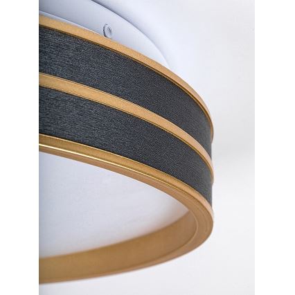 Rabalux - Plafonnier LED dimmable LED/24W/230V 3000-6500K Ø 39 cm + télécommande