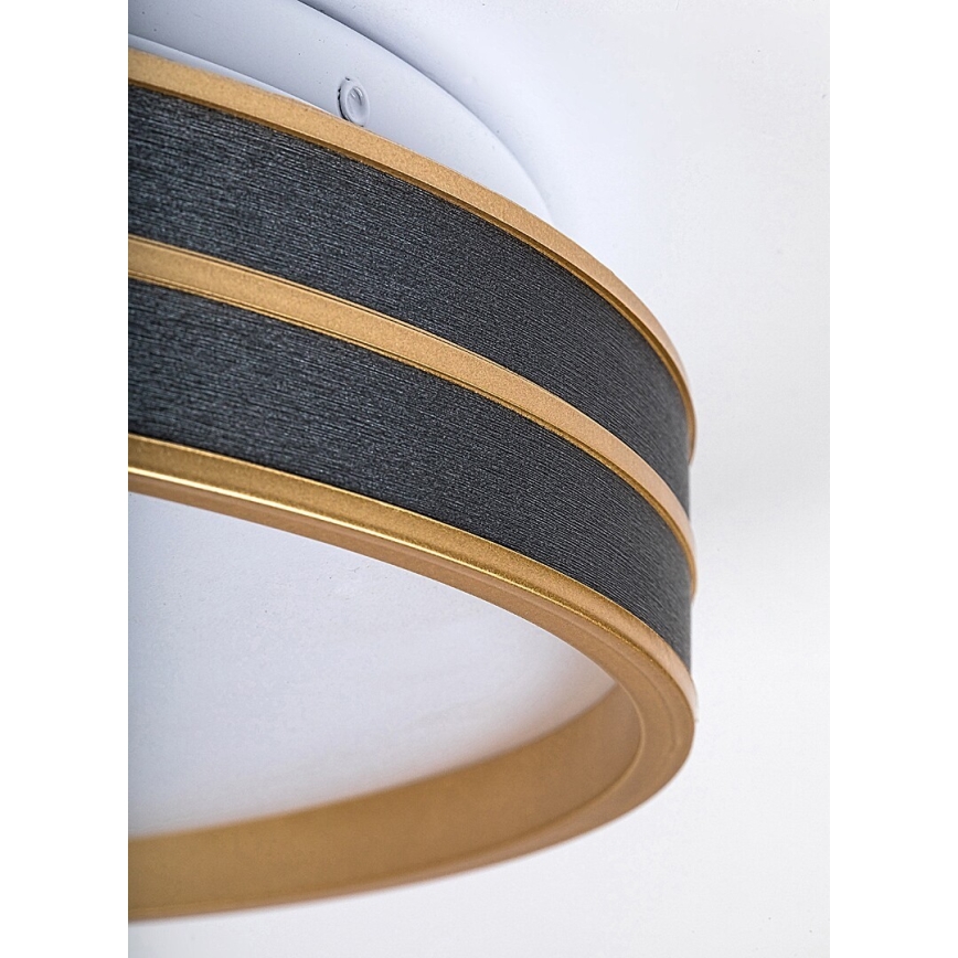 Rabalux - Plafonnier LED dimmable LED/24W/230V 3000-6500K Ø 39 cm + télécommande